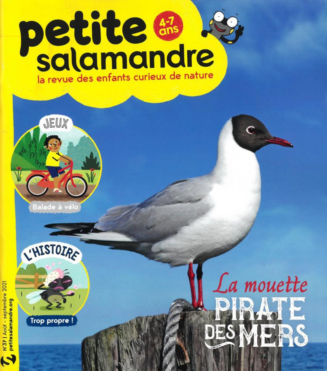 C'est la fête à la grenouille ! (n°47) > Boutique - Salamandre > Boutique -  Salamandre